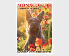 Monaco - Postfris / MNH - International Dog Show 2025 - Neufs