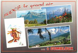 74 HAUTE SAVOIE COMBLOUX : MULTIVUES SUPER LE GRAND AIR - Combloux