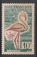 COTE DES SOMALIS - 1959-60 - N°YT. 297 - Flamant Rose 10f - Neuf Luxe** / MNH - Ongebruikt