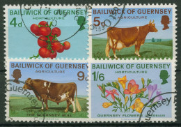 Guernsey 1970 Landwirtschaft Kühe Tomaten Blumen 31/34 Gestempelt - Guernesey