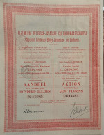 Algemeene Belgisch-Javasche  Cultuur-Maatschappij - Aandeel Aan Toonder - 1907 - Amsterdam - Agriculture
