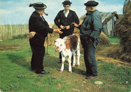 FOLKLORE MARAICHIN - LE BOUQUET D AJONCS - BOIS DE CENE - TON VEAU A UN GROS NOMBRIL JE NE METTRAI PAS UN SOU DE PLUS - People