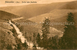 Hahnenklee-Bockswiese Harz Partie Beim Auerhahn - Goslar
