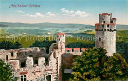 Auerbach Bergstrasse Auerbacher Schloss - Bensheim