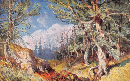 LIBAN-Am Libanon-Paysage Dessiné-Cèdres-Forêt-Lebanon Levante Syrie-LIBAN-LIBANON - Libano
