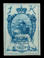 LIECHTENSTEIN 1920 Nr 24 Postfrisch X6FBEC2 - Neufs