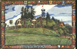 Bachtel Kulm Bachtelkulm KuenstlerO. Lasius X 1921 - Autres & Non Classés