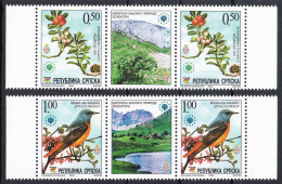 Bosnia Serbia 2004 European Nature Protection Birds Fauna Flowers Flora Plants, Middle Row MNH - Bosnie-Herzegovine