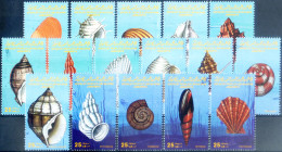 Conchiglie 1985. - Libye