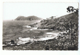 CPSM - RAMATUELLE - Plage De L'Escalet - N° 8118 Ed. MAR - Format 9 X 14 Cm - Ramatuelle