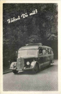 Bus Mercedes - Busse & Reisebusse