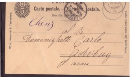 Suisse -(1890) - CP Entier 5 C.  Circule - Entiers Postaux