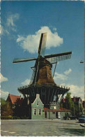 Holandse Molen - Windmühle - Windmills