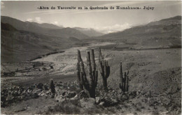 Jujuy - Abra De Yacoraite En La Quebrada De Humahuaca - Argentina
