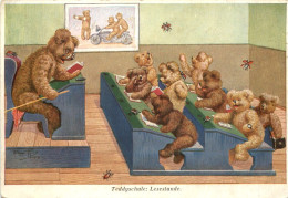 Bären - Teddyschule - Bears