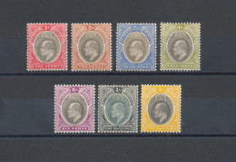 1904 Southern Nigeria, SG 21/31 Edoardo VII, Serie Non Completa, MH* - Other & Unclassified