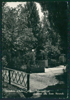 Alessandra Castelletto D'Orba Foto FG Cartolina KV8794 - Agrigento