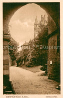 Wernigerode Harz Schlosstor Kupferton - Wernigerode