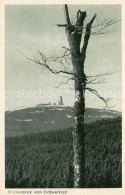 Wernigerode Harz Brockenblick Vom Erdbeerkopf Offizielle Ansichtskarte - Wernigerode