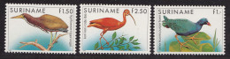 1985 SURINAME - Uccelli,Yvert N. 1014/1016 Serie Di 3 Valori MNH/** - Autres & Non Classés
