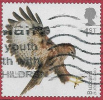 GB SG4210 2019 Birds Of Prey 1st DIECUT Good/fine Used [35/29548A/39] - Gebruikt
