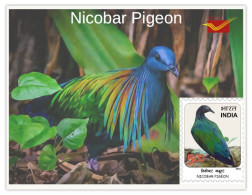 India 2025 Indian Birds - Nicobar Pigeon - MINT/BLANK PPC Maxim/Picture Post Card As Per Scan - Tauben & Flughühner
