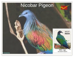 India 2025 Indian Birds - Nicobar Pigeon - MINT/BLANK PPC Maxim/Picture Post Card As Per Scan - Tauben & Flughühner