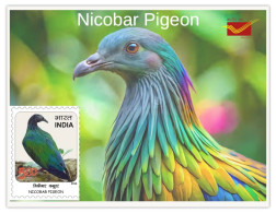 India 2025 Indian Birds - Nicobar Pigeon - MINT/BLANK PPC Maxim/Picture Post Card As Per Scan - Tauben & Flughühner