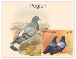 India 2025 Pegion & Sparrow MINT/BLANK PPC Maxim/Picture Post Card As Per Scan - Tauben & Flughühner