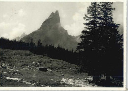 Zollikerberg [Stempelabschlag]Hundstein - Andere & Zonder Classificatie