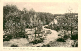 Lueneburger Heide Heideweg Huetzel Breloh - Walsrode