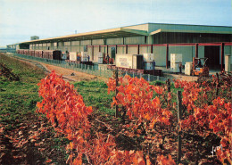 16 COGNAC CHAI DE DEPART ZONE INDUSTRIELLE - Cognac