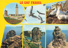 22 LE CAP FREHEL LE PHARE OISEAUX DE LA RESERVE ET LES FAUCO - Cap Frehel