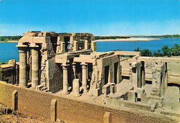 EGYPTE KOM OMBO TEMPLE DE HORUS ET SOBEK ENCEINTE - Sonstige & Ohne Zuordnung
