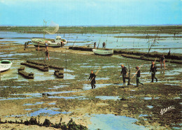 17 ILE D OLERON PARCS A HUITRES - Ile D'Oléron