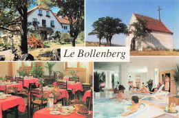 68 ROUFFACH HOTEL LE BOLLENBERG - Rouffach
