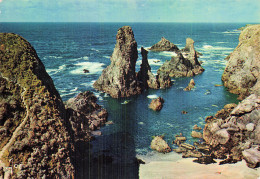56 BELLE ILE EN MER PORT COTON - Belle Ile En Mer