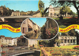 45 MONTARGIS LE QUARTIER DE LA SIRENE ET LE CHATEAU DE LA MO - Montargis