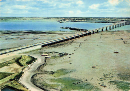 17 SAINT TROJAN LES BAINS PONT D OLERON - Ile D'Oléron