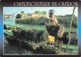17 ILE D OLERON UN OSTREICULTEUR - Ile D'Oléron