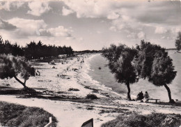 17 ILE D OLERON LE CHÂTEAU LA PLAGE - Ile D'Oléron
