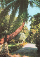 83 HYERES JARDIN OLBIUS RIQUIER - Hyeres