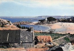 29 CARANTEC ILE CALLOT PETITE CRIQUE - Carantec