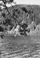 88 GERARDMER LAC DE LONGEMER - Gerardmer