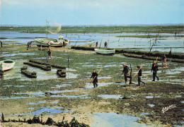 17 ILE D OLERON PARCS A HUITRES - Ile D'Oléron