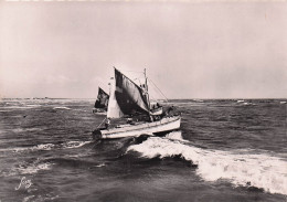 17 ILE D OLERON LA COTINIERE LE PORT - Ile D'Oléron