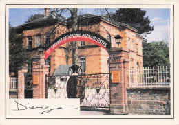 57 DIEUZE 13 EME REGIMENT DE DRAGONS PARACHUTISTES - Dieuze