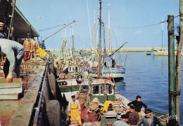 29 DOUARNENEZ LES QUAIS - Douarnenez