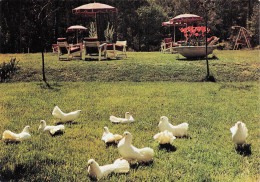 17 ILE D OLERON LES PINS DU VERT BOIS HOTEL RESTAURANT - Ile D'Oléron