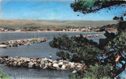 83 ST CYR SUR MER LES LECQUES - Altri & Non Classificati